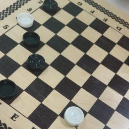 Чапаевцы заняли третье место в шашечном турнире