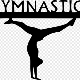 Ждем в Магадане сахалинских гимнасток