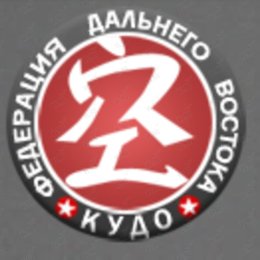 Сахалинские кудоисты отличились на соревнованиях в Хабаровске