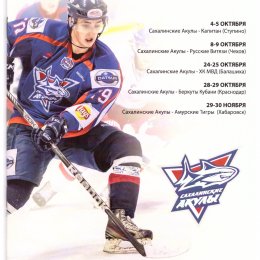 "Сахалинские акулы" - "Капитан" (Ступино), "Русские витязи" (Чехов), "МВД" (Балашиха), "Беркуты Кубани" (Краснодар), "Амурские тигры" (Хабаровск)