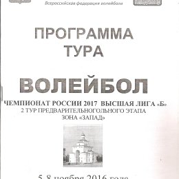 Тур чемпионата России среди мужских команд высшей лиги "Б" во Владимире ("Элвари-Сахалин")