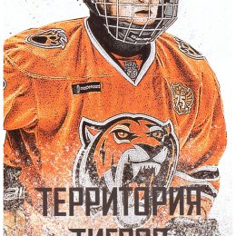 "Амурские тигры" - "Сахалинские акулы"