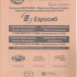 "Серебряные львы" (Санкт-Петербург) - "Сахалинские  Акулы"