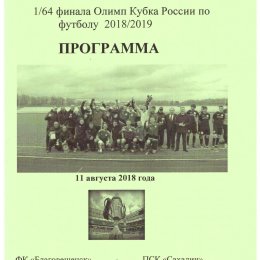 Кубок России. ФК "Благовещенск" - "Сахалин"
