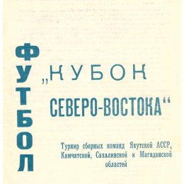 Кубок Северо-Востока в Петропавловске-Камчатском с участием сборной команды Сахалинской области 