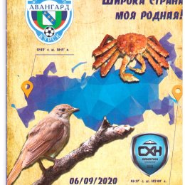 "Авангард" (Курск) - "Сахалин"