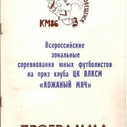 Зональный турнир "Кожаного мяча" в Благовещенске.