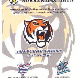 "Амурские Тигры" (Хабаровск) - "Сахалинские Акулы" (Южно-Сахалинск). Вид 2