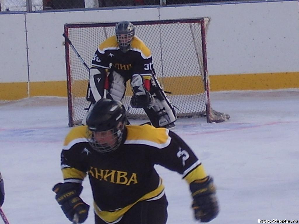 "Звезда" - ХК "Анива" (20 янв)