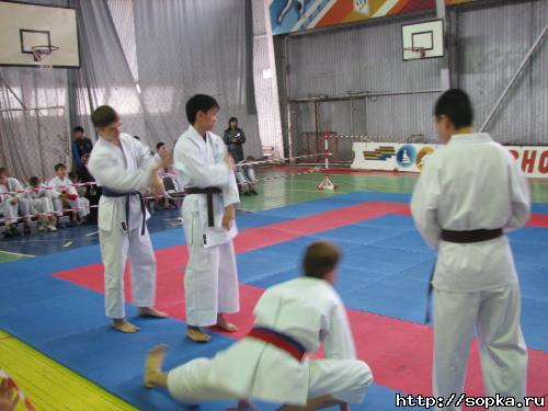 Командное первенство области  по каратэ-до Сетокан по правилам WKF- 2007
