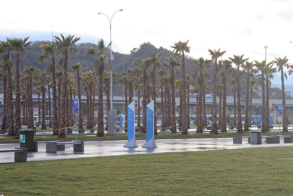 Паралимпиада в Сочи