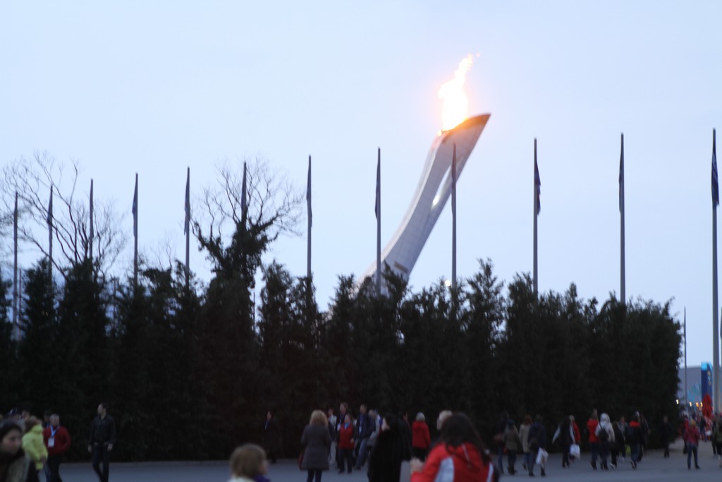 Паралимпиада в Сочи