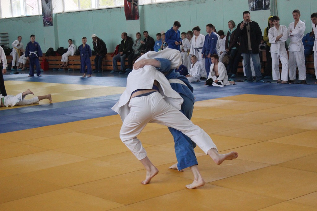 Кубок мэра Южно-Сахалинска 2014 года по дзюдо