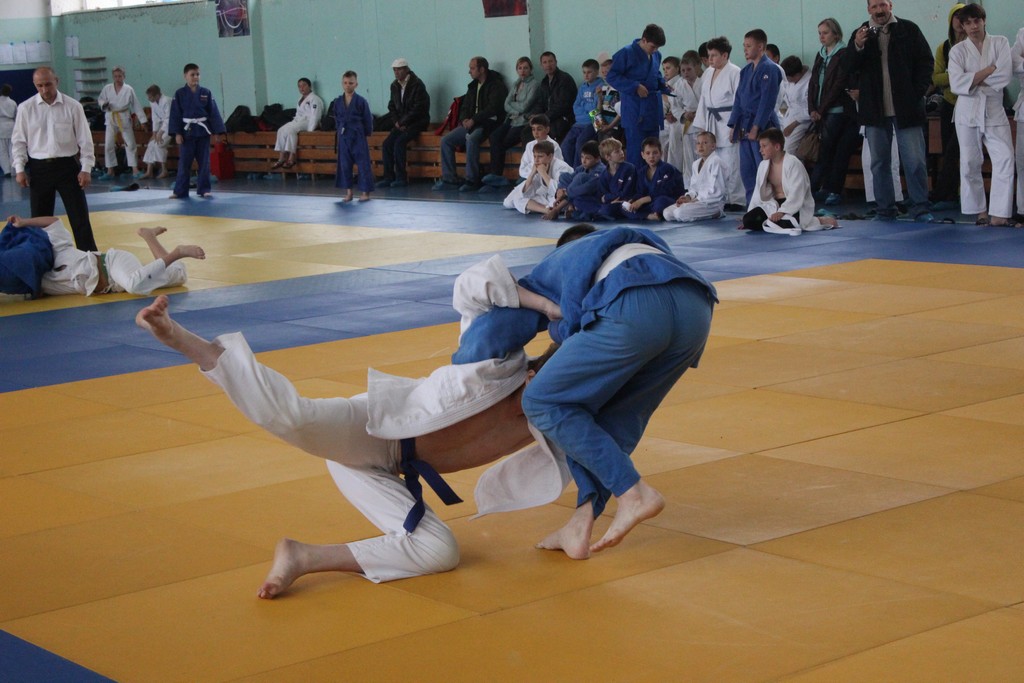 Кубок мэра Южно-Сахалинска 2014 года по дзюдо