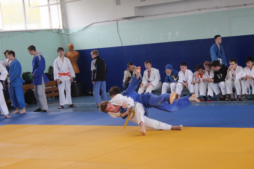 Кубок мэра Южно-Сахалинска 2014 года по дзюдо