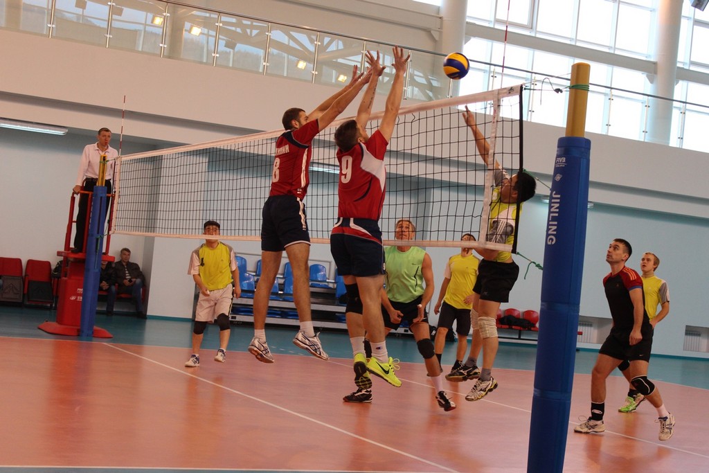 Чемпионат области 2014 года по волейболу