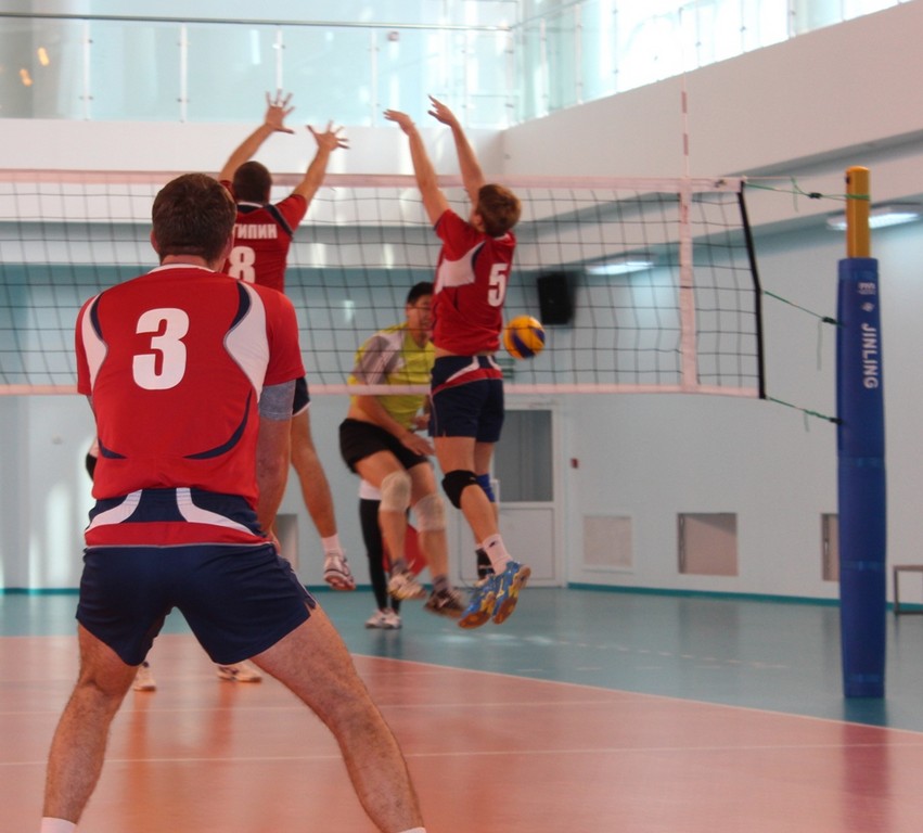 Чемпионат области 2014 года по волейболу