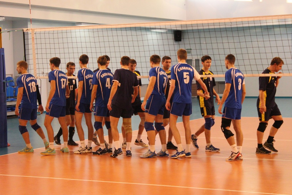 Чемпионат области 2014 года по волейболу