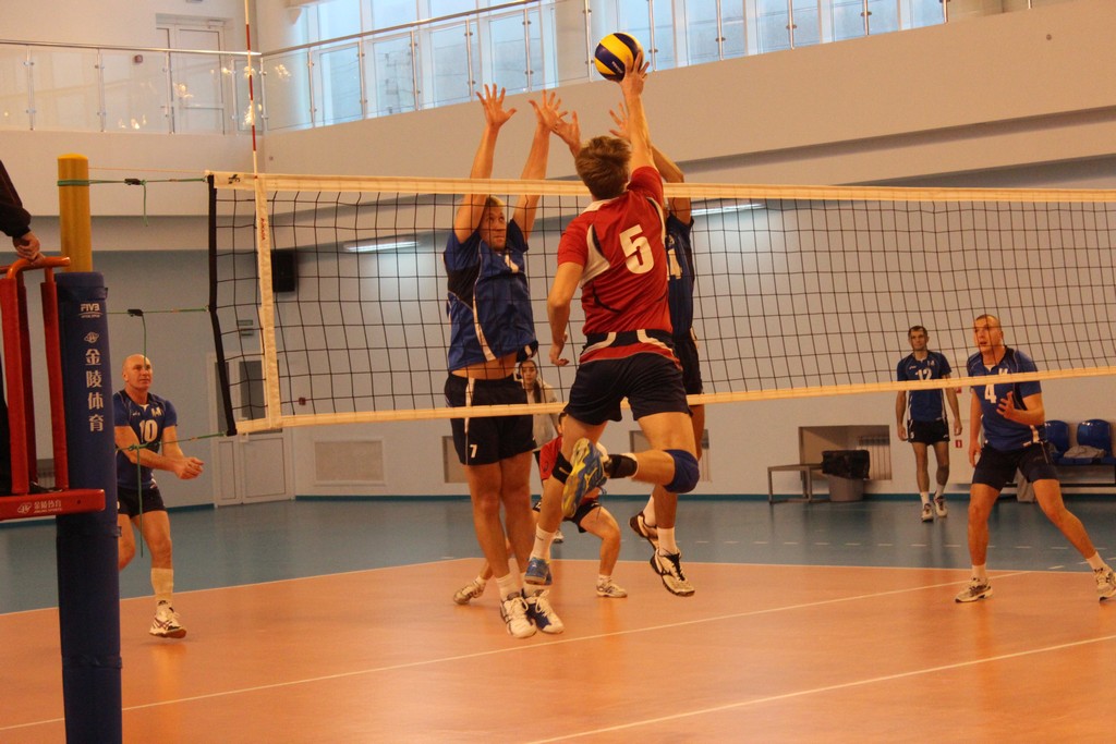 Чемпионат области 2014 года по волейболу