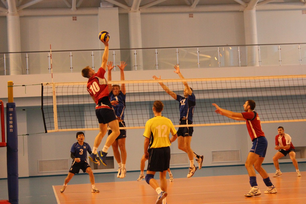 Чемпионат области 2014 года по волейболу