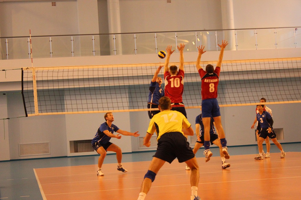 Чемпионат области 2014 года по волейболу