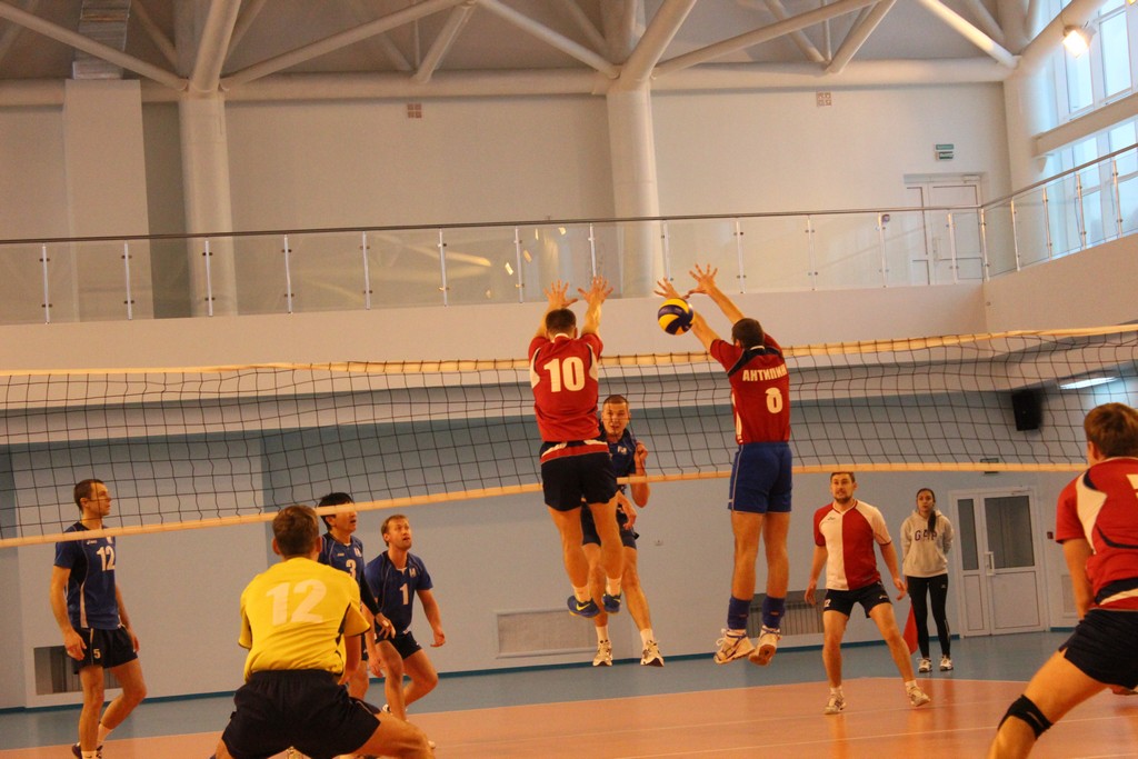 Чемпионат области 2014 года по волейболу