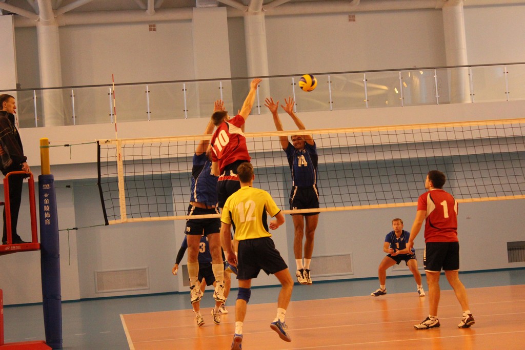 Чемпионат области 2014 года по волейболу