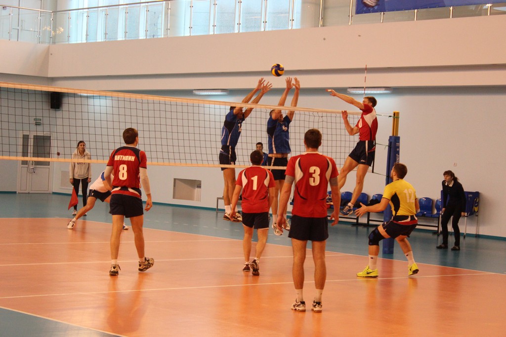 Чемпионат области 2014 года по волейболу