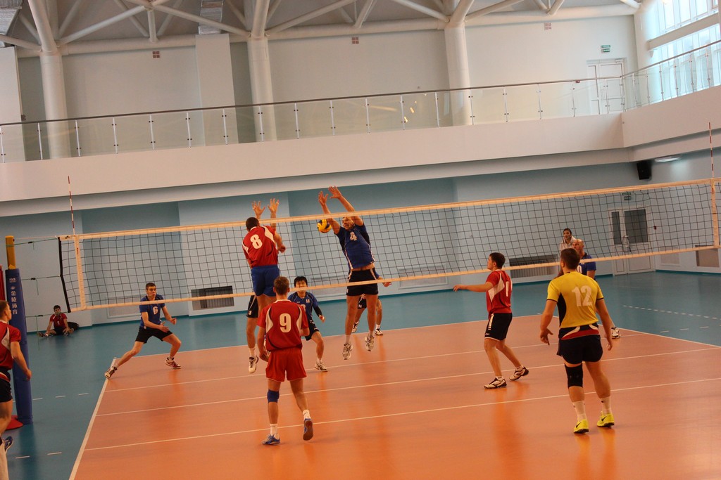 Чемпионат области 2014 года по волейболу