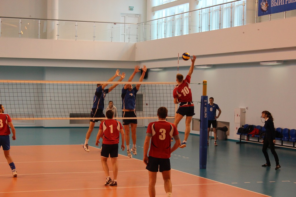 Чемпионат области 2014 года по волейболу