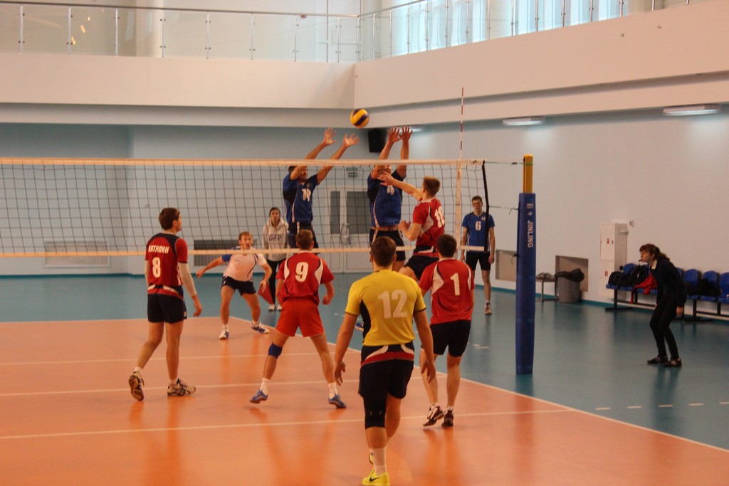 Чемпионат области 2014 года по волейболу