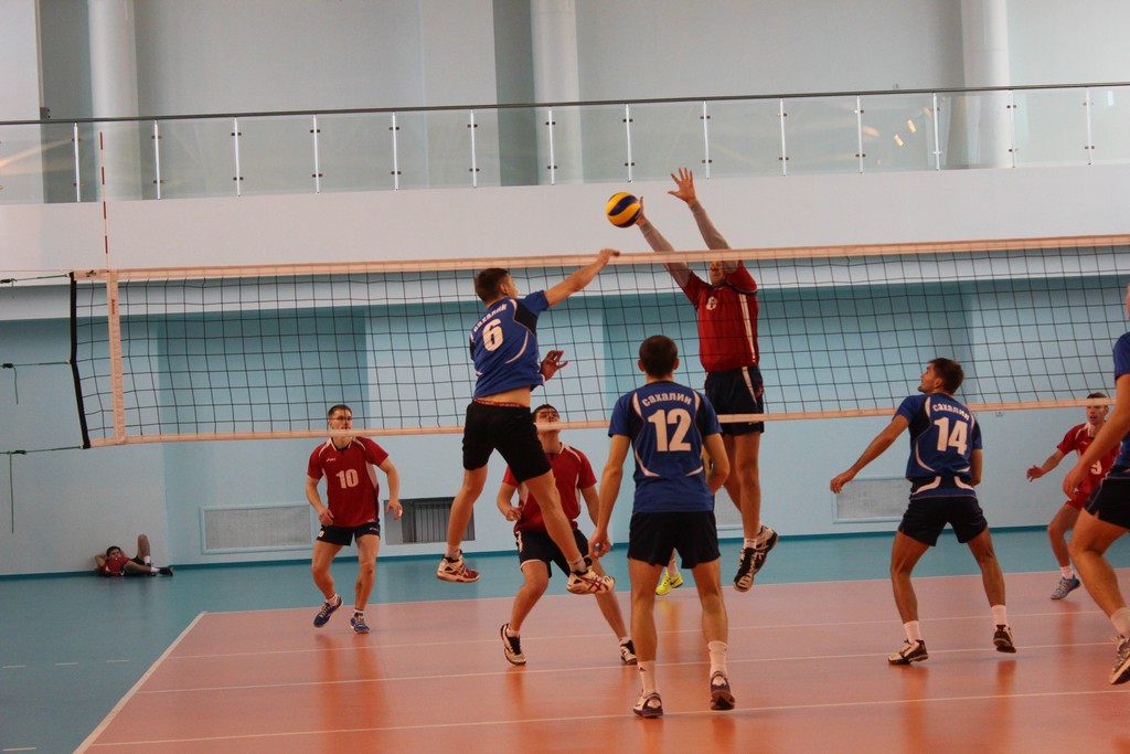 Чемпионат области 2014 года по волейболу