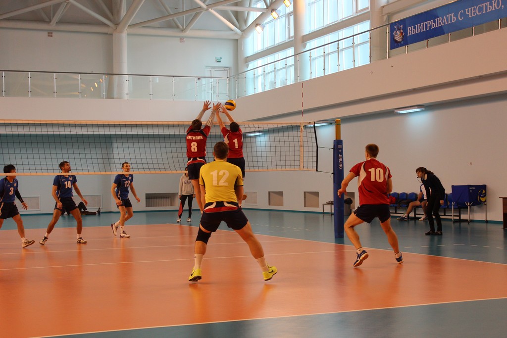 Чемпионат области 2014 года по волейболу