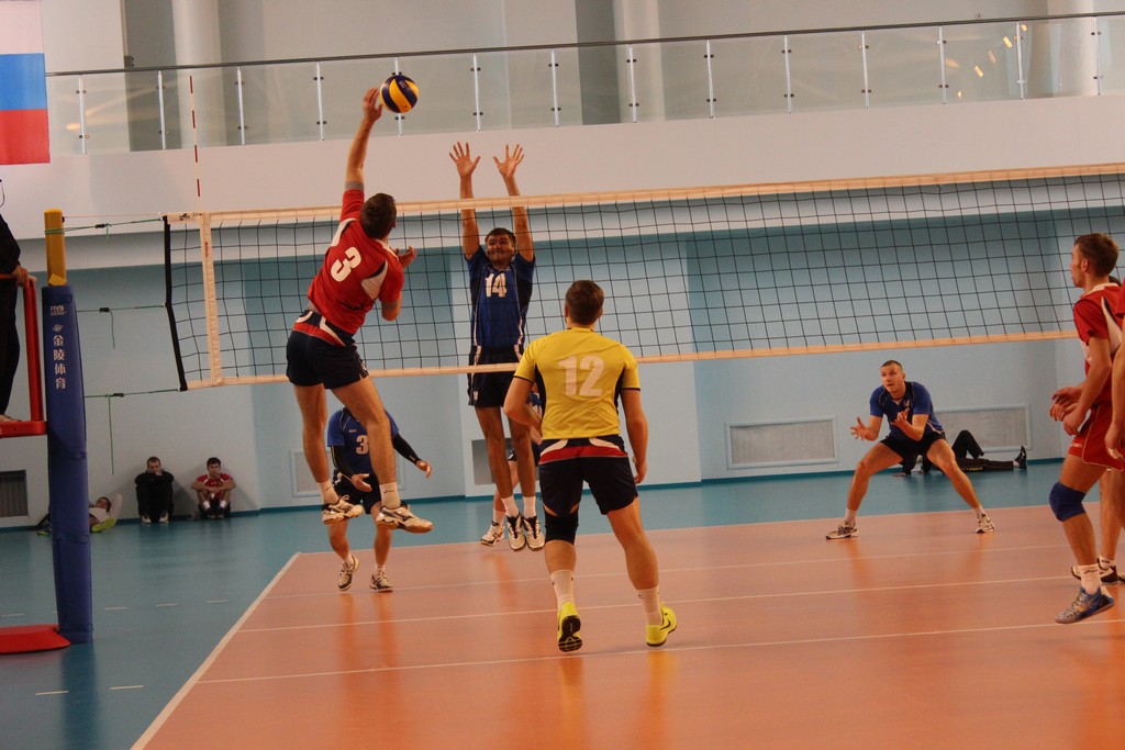 Чемпионат области 2014 года по волейболу