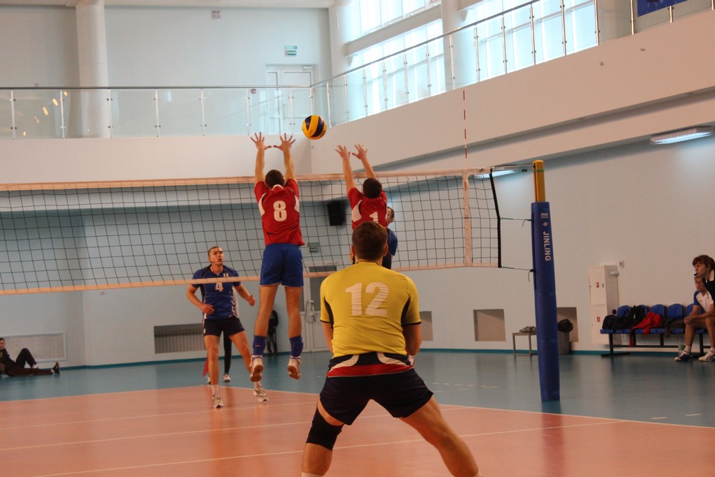 Чемпионат области 2014 года по волейболу