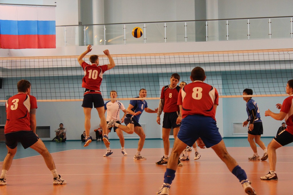 Чемпионат области 2014 года по волейболу