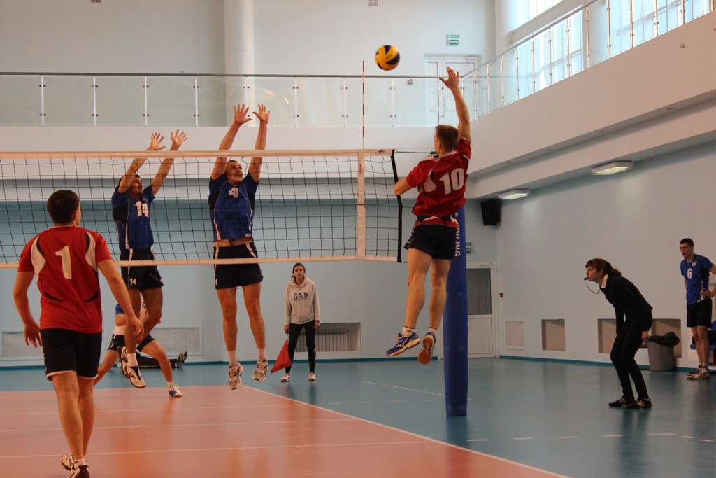 Чемпионат области 2014 года по волейболу