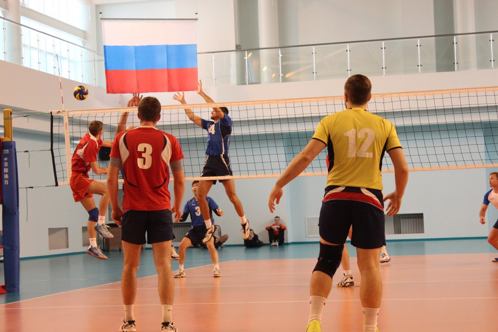 Чемпионат области 2014 года по волейболу