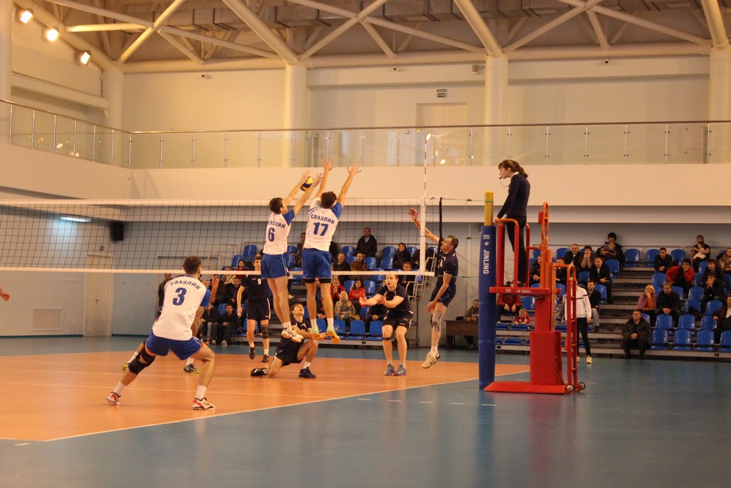 Чемпионат области 2014 года по волейболу