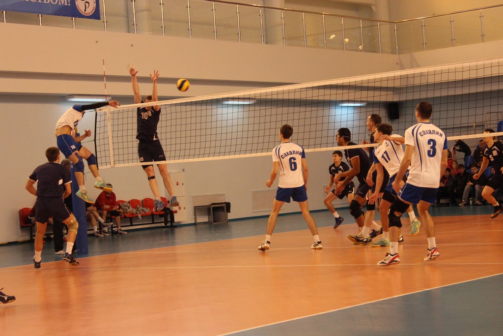 Чемпионат области 2014 года по волейболу