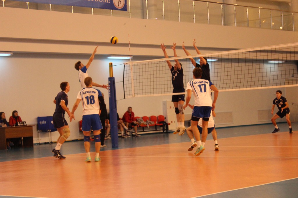 Чемпионат области 2014 года по волейболу