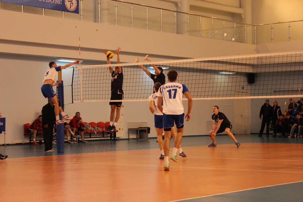 Чемпионат области 2014 года по волейболу