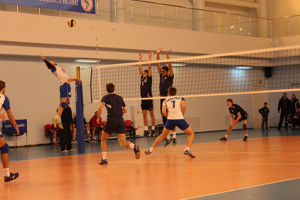 Чемпионат области 2014 года по волейболу