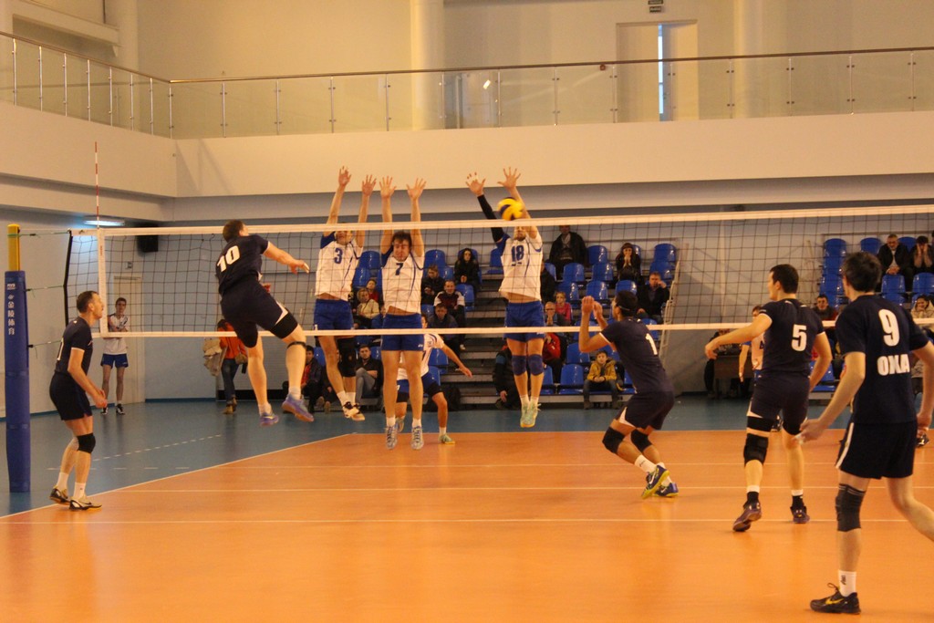 Чемпионат области 2014 года по волейболу