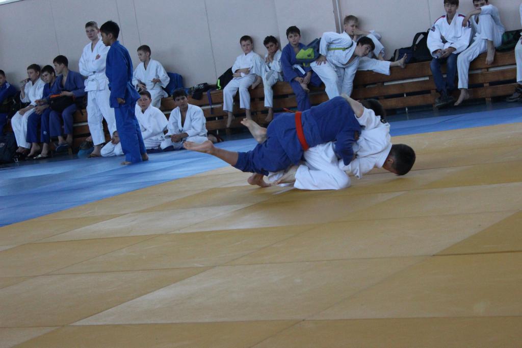 Кубок губернатора по дзюдо