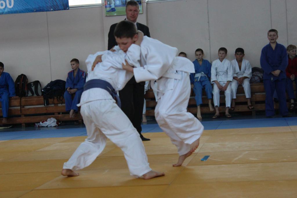 Кубок губернатора по дзюдо