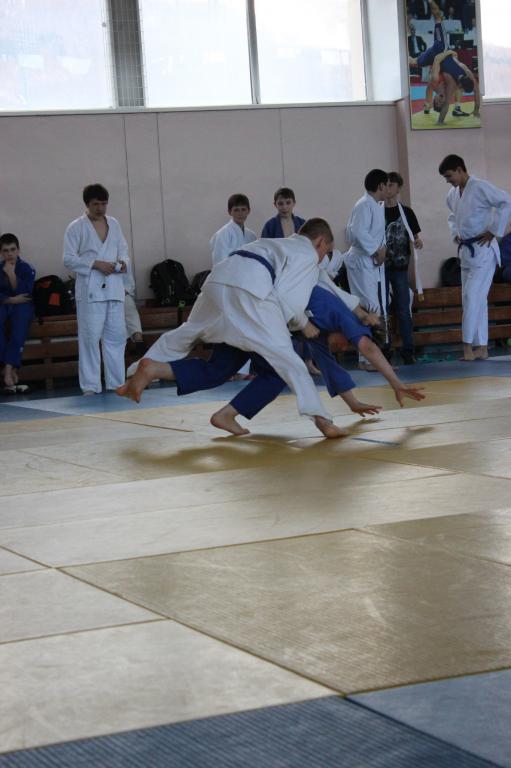 Кубок губернатора по дзюдо