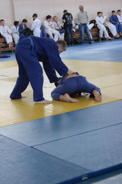 Кубок губернатора по дзюдо