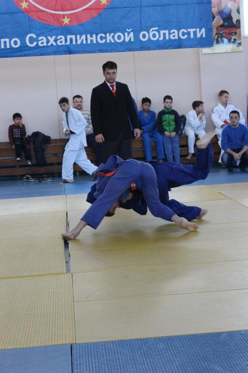 Кубок губернатора по дзюдо