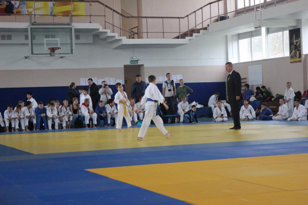 Кубок мэра по дзюдо